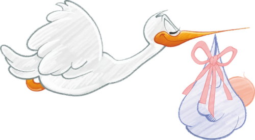 コウノトリ