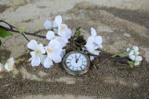 時計と桜