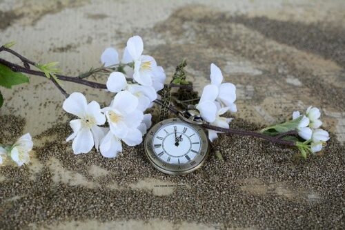 時計と桜
